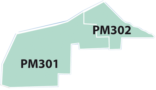 PM301302